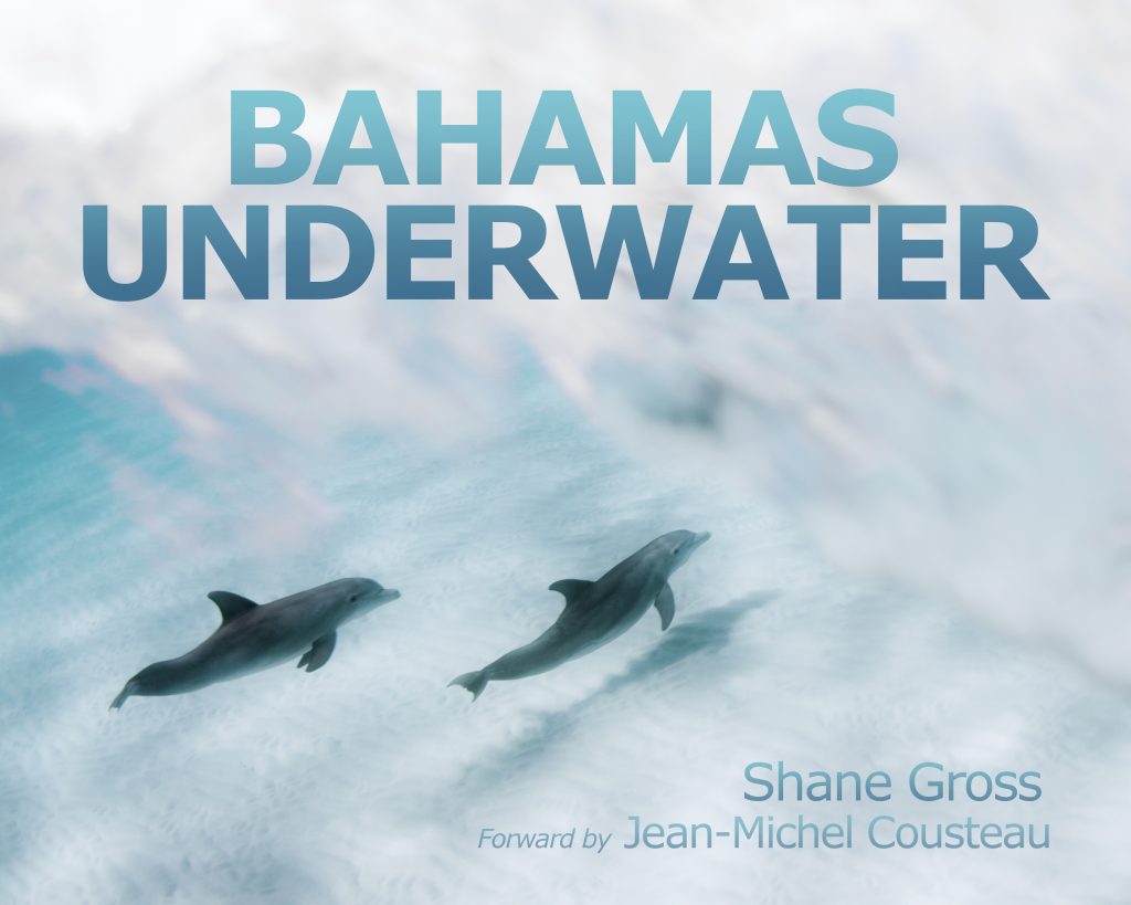 Bahamas-Underwater-Book.jpg